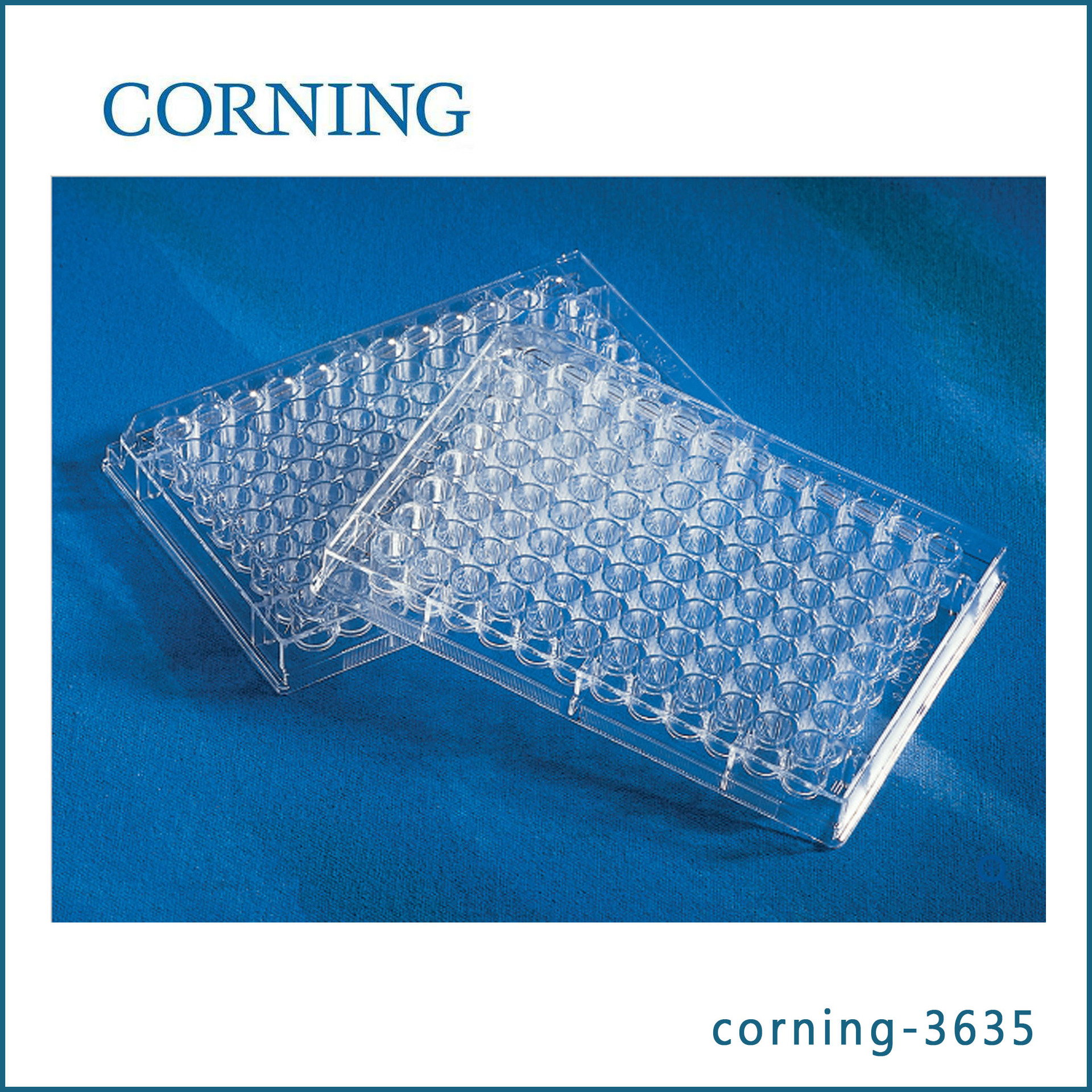 康宁corning3635 96孔板 紫外分析板  25个/包,2包/箱