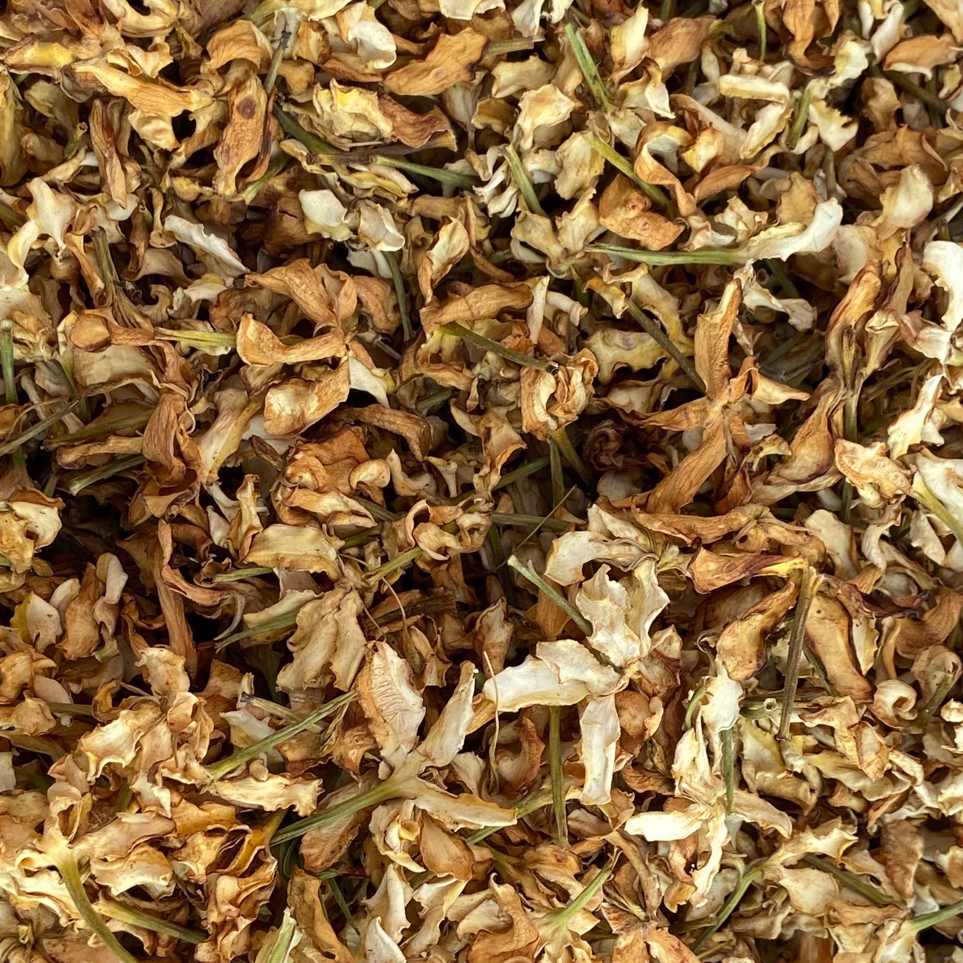 Gardenia Flower Zhi Zi Hua Dried Herbal Tea Ingredient Natural Sun Dried 500g quality and texture