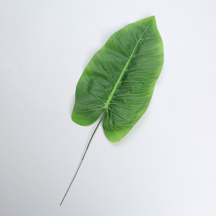 ֲGֲbƷԲ廨ļٻ~յ߆Ƭ˽~