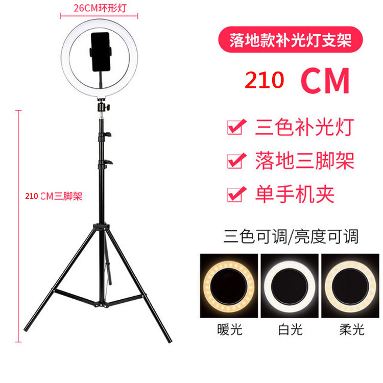 Fábrica de Internet de la celebridad Luz de relleno de teléfono móvil LED anillo de luz ancla selfie TikTok belleza luz fotografía en vivo trípode