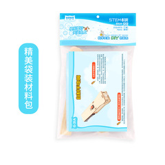 Science Experiment STEM Educational DIY Wood Model Flashlight for Primary School Students, Wholesale