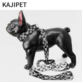 狗狗牵引绳狗绳狗链子大中小型犬遛狗宠物项圈猫咪泰迪绳用品耐用