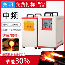 廠家直銷小型中高頻感應加熱設備 透熱焊接熔煉中頻感應加熱電源