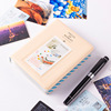 Iconic takes an imaging photo paper album album mini MINI album card album 64 entry