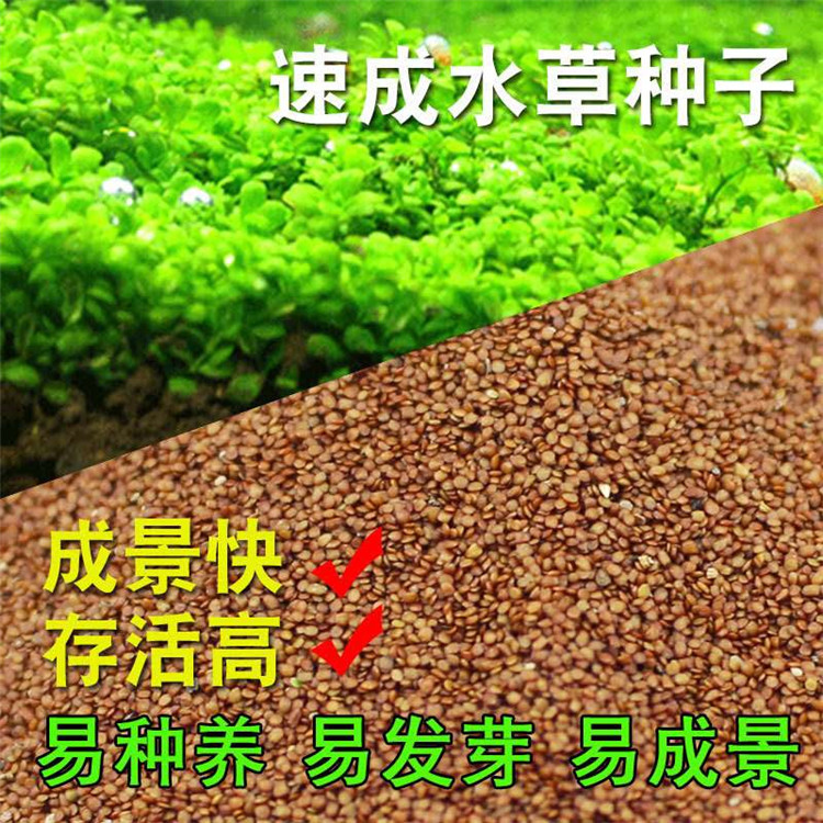 微信图片_202008081456582