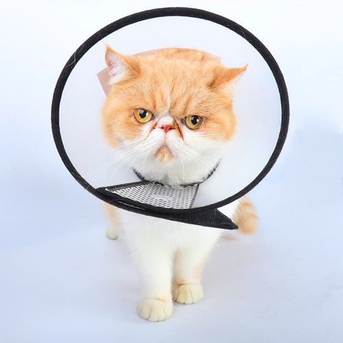 Elizabeth Circle Pet Protection Cover Cat Dog Cleaning Beauty Hood Anti-Licking Head Cover Protective Supplies Dog Collar