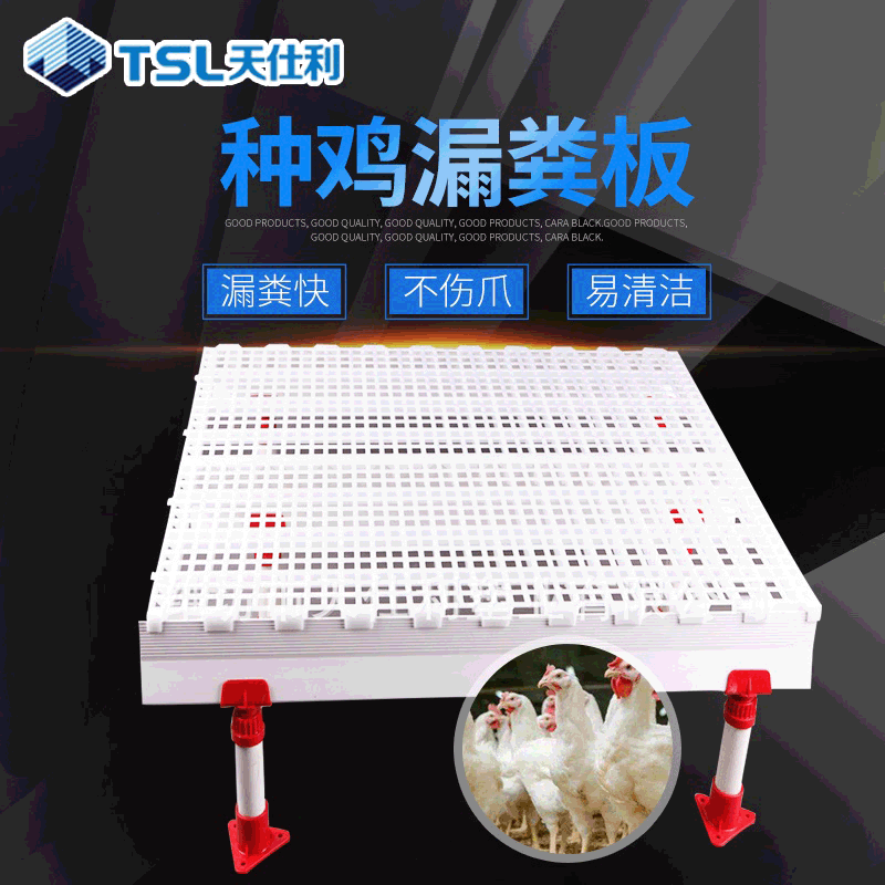 鸡鸭鹅用漏粪板 加厚鸡舍养殖漏粪地板 禽用鸡笼畜牧设备