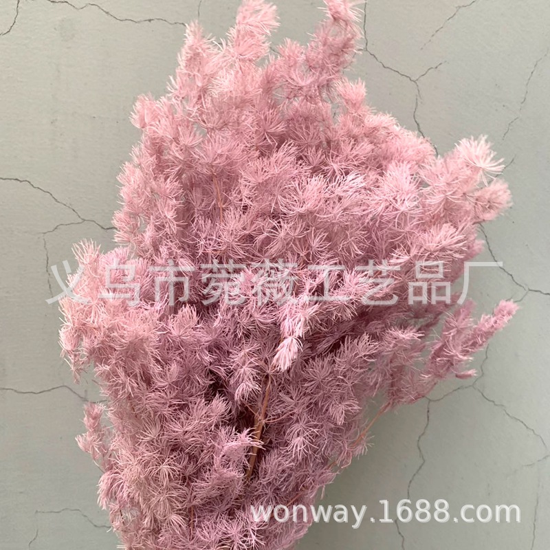 微信图片_20200607223446