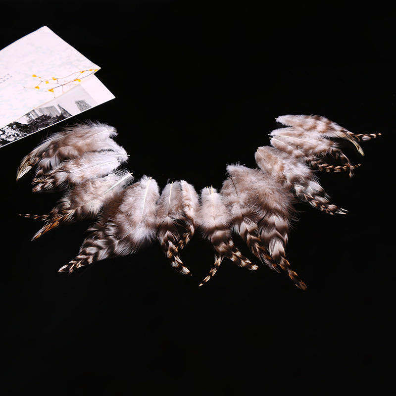 8814ac5165a270077396b52858067e