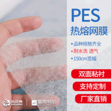 PES热熔胶网膜厂家 耐水洗聚酯双面衬 可粘接面料 用于服装水过滤