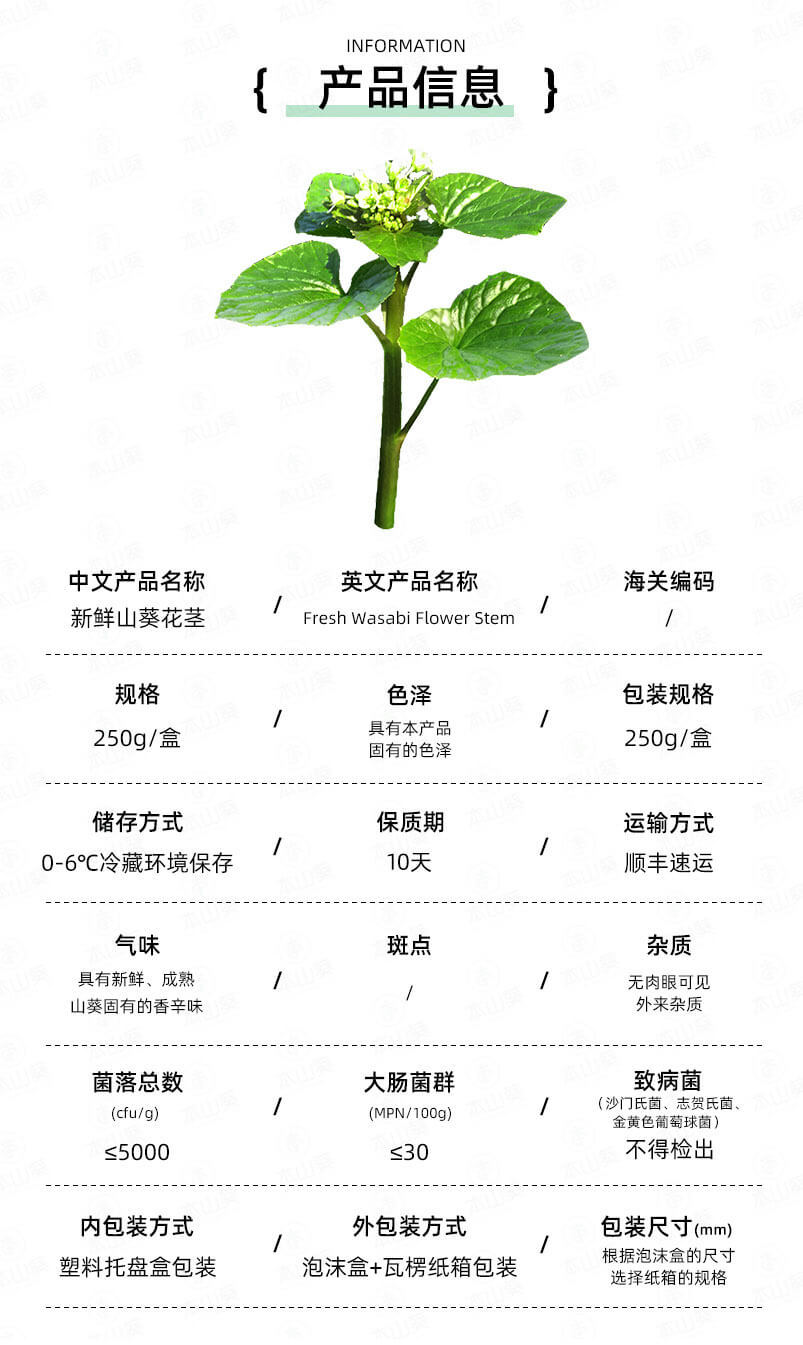 新鲜山葵花茎.jpg
