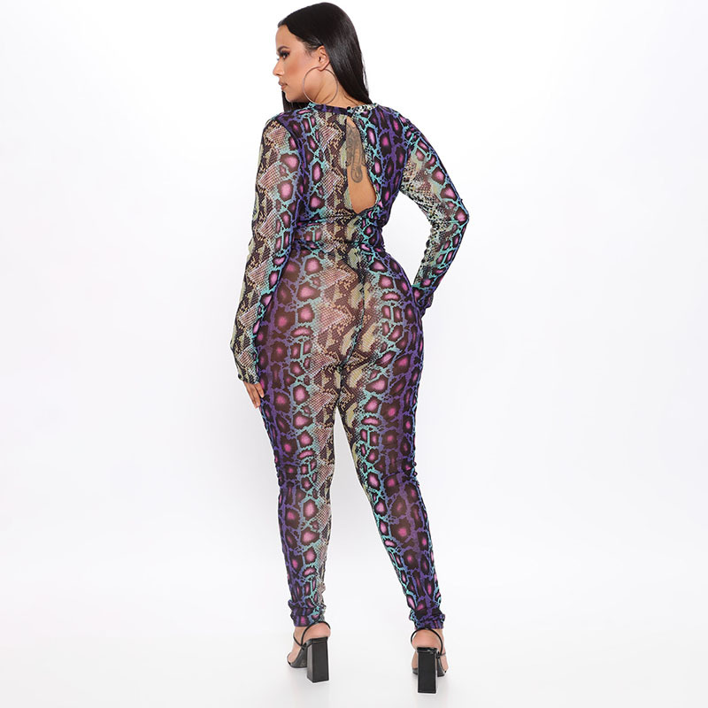 Snake Print Long-Sleeved Jumpsuit NSHLJ43196