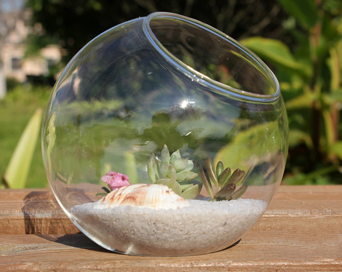 Transparent round beveled glass vase, micro-landscape ecological bottle, succulent vase, hydroponic flower device, home crafts