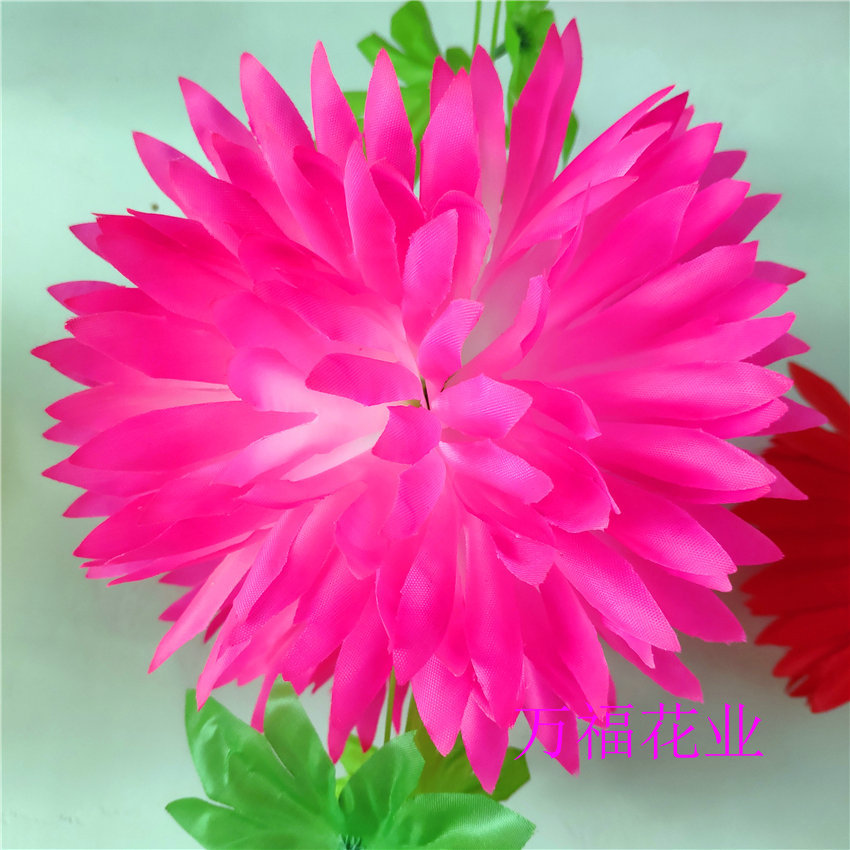 新建文件夹 (2)IMG_20200515_141417.j