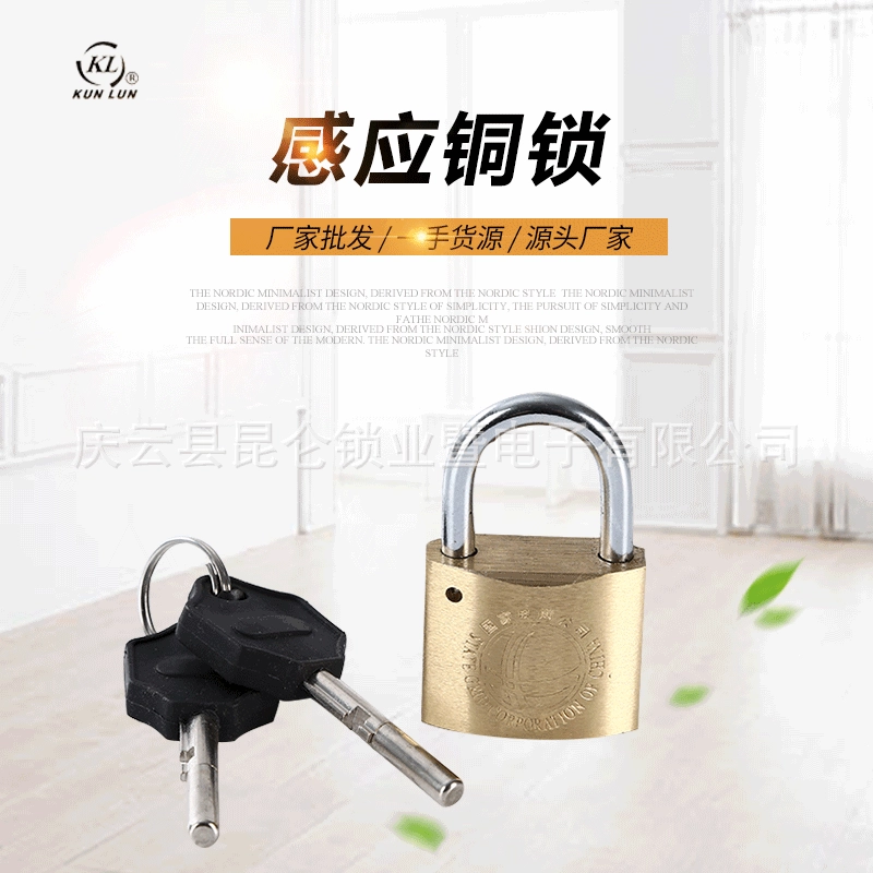 Замок решетки государства замка коробки метра силы падлок магнитного замка меди индукции дуги 35 мм магнитный электромагнитный замок замка Куньлун