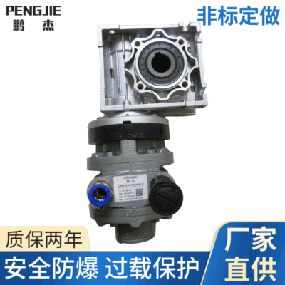 Pneumatic Slow down motor PJ6AM-RV series low speed torque motor Biaxial electrical machinery Adjust speed Air pump
