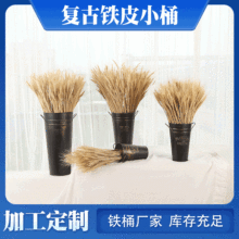 ���͹��FƤСͰ�����������R���F����ֲ�ﻨ��Wʽ�͹��Fˇ�¹�