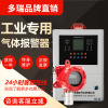 Industry explosion-proof Carbon monoxide Alarm CO Leak poisonous Gas concentration Tester concentration testing