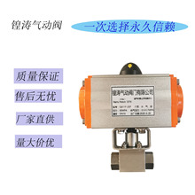 Ӹ߉y P304y P呴zy300