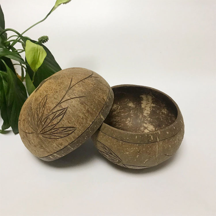 15692342574_1935586515 (1)