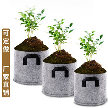 �Nֲ���o�����Ӻ���ֲ��ɫ��ֲ�������N��ֲ��I�B������ظ�����