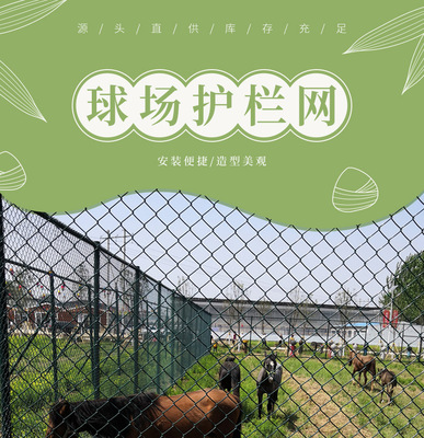 定制篮球场网球场铁丝网不锈钢钢丝铁丝镀锌包塑体育场养殖勾花网