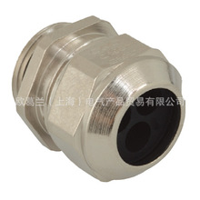 M20pS~|^1311.20.2.075