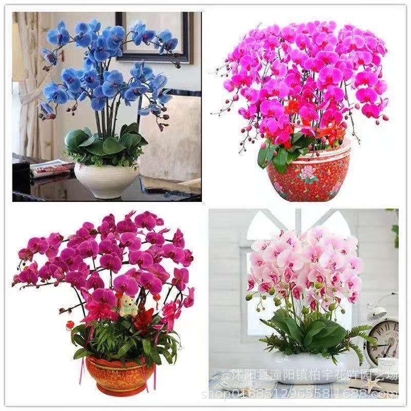 ΢��ͼƬ_20200121210714