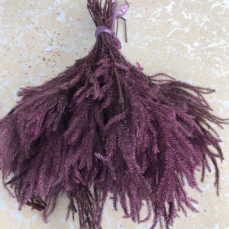 微信图片_20200221143027_副本