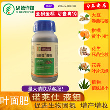 诺莱仕液钼大豆柑橘花生黄叶小叶死苗增产花卉绿植通用叶面200ml