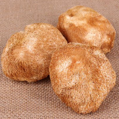 产地货源福建古田新货猴头菇干货500g批发无硫猴头菌养胃山珍食品|ru