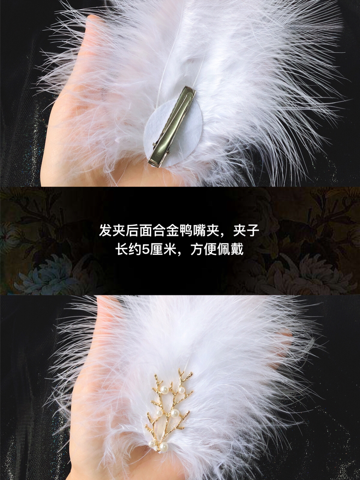 IMG_2800(20200806-111525)