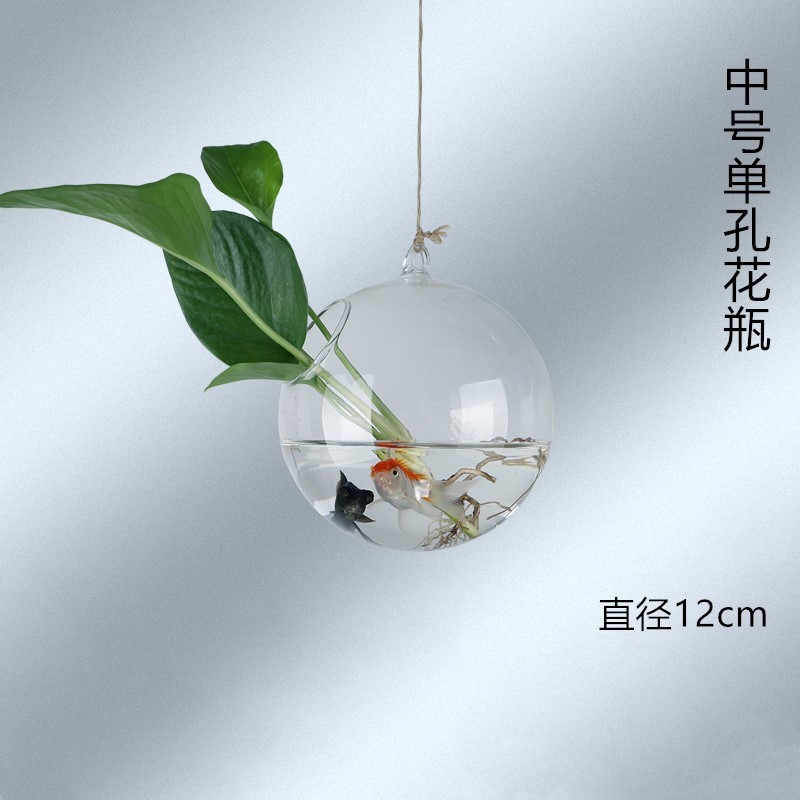 12cm 공