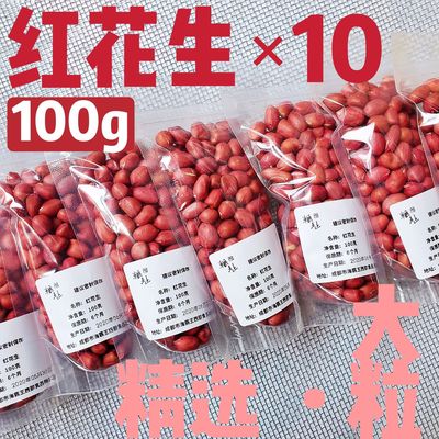 大红皮花生 家用袋装100g 红花生  营养粥 五谷 豆浆 八宝粥原料
