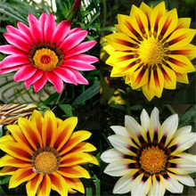 ɢb¾շNӶļײ̨҃ԻݻܷNӻl