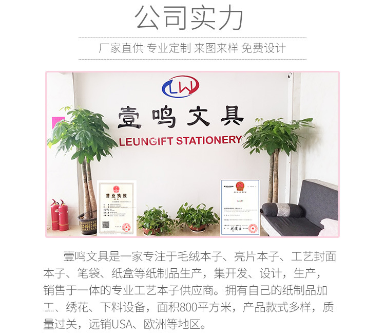 厂家直供毛绒笔袋 创意文具学习文具笔袋 猫咪毛绒学生笔袋