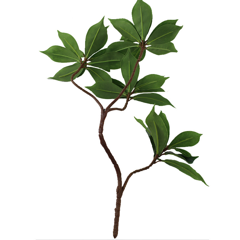 XRB-247 厚皮香四叉枝 (2).jpg