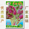 Free shipping original one -yuan stall seed manufacturer Vegetable seeds wholesale color bags, four seasons easy to grow good oral seed seed seeds