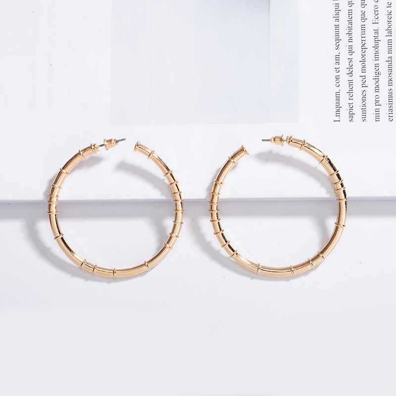 New Trendy Fashion Exaggerated Circle Earrings display picture 4