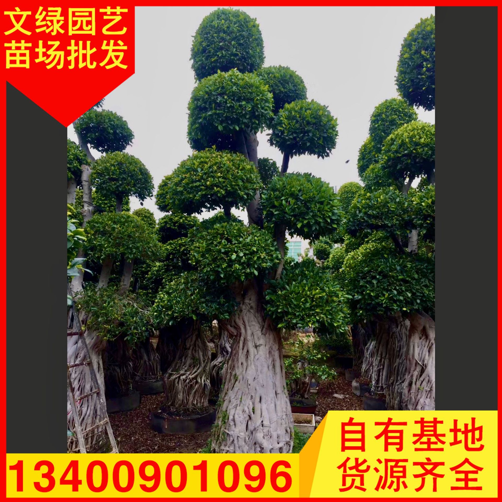 2020-06-04 002822(1)