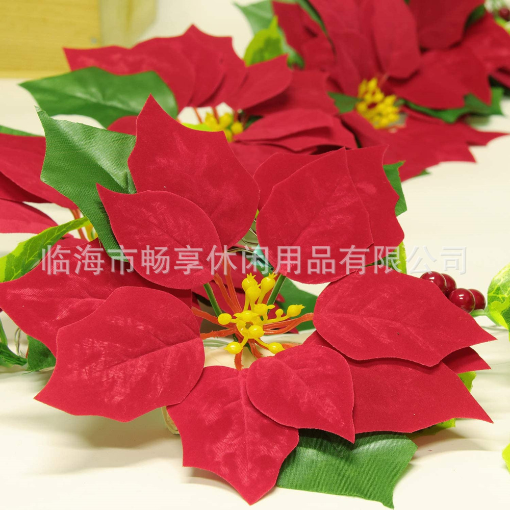 71paiX1A5RL._AC_SL1500_