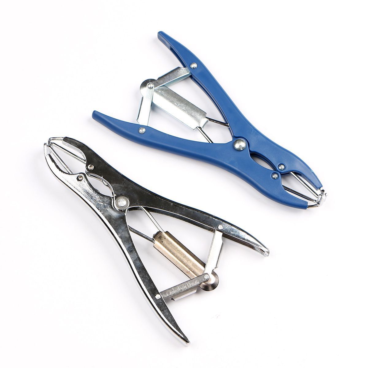 QQ图片20200516094119