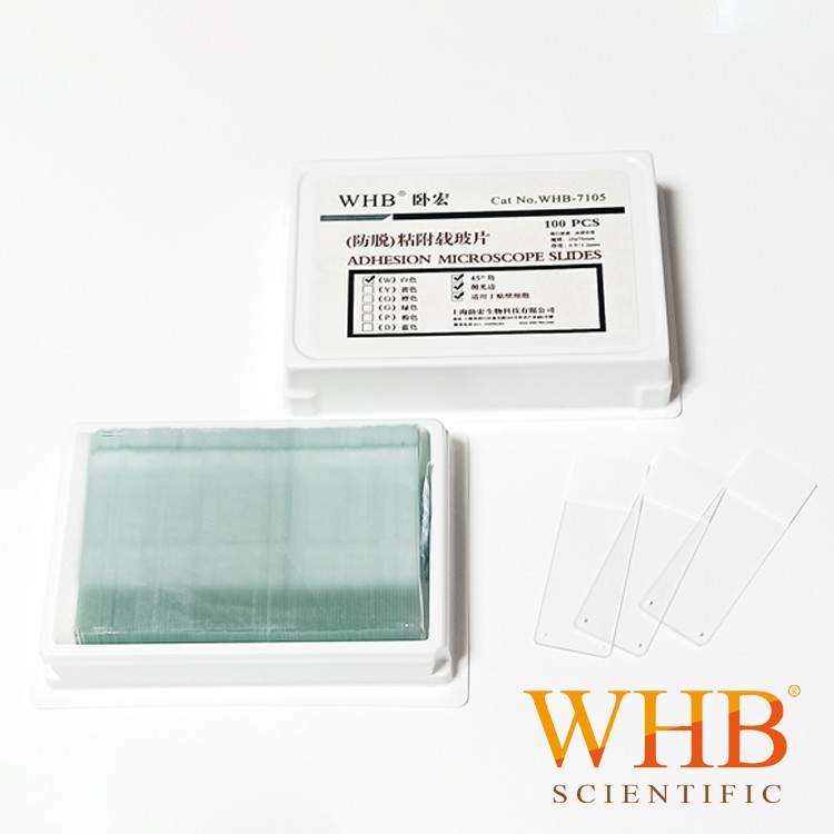 TC处理防脱载玻片液基细胞粘附载玻片100片/盒正电荷等离子载玻片