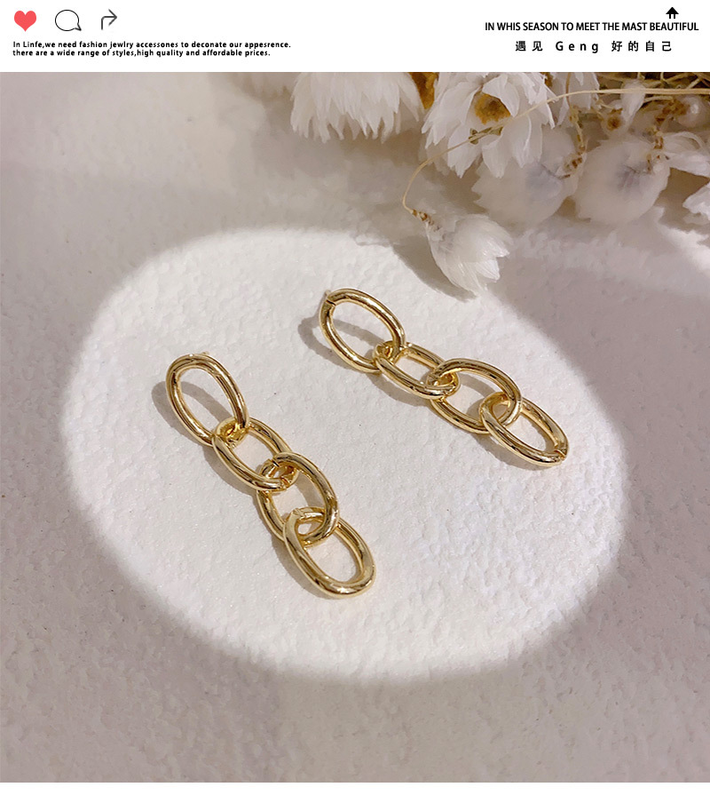 2020 New Fashionable Metal Chain Earrings Women's Korean-style Elegant Long Fringe Earrings Cold Earrings display picture 7