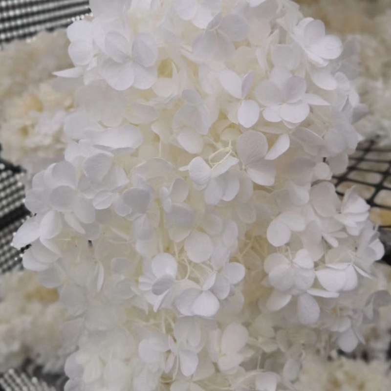 微信图片_20200421181917