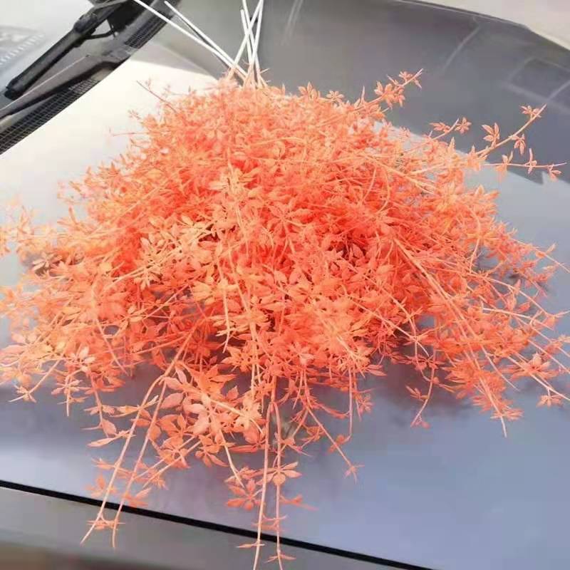 오렌지