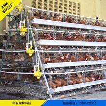 �V�ݏS�N�����r�u�\���u�\ �����ČӿɯBʽ�u�\�{���W�����u