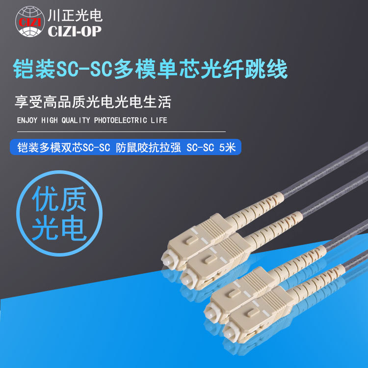 防鼠咬铠装多模光纤线SC-SC多模单芯光纤跳线 铠装尾纤 SC-SC 3米
