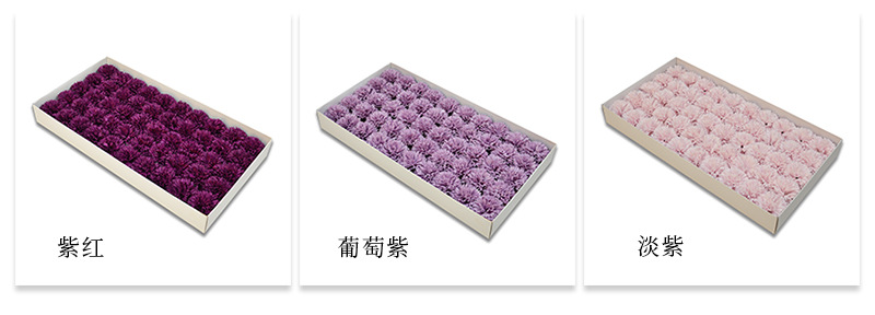 AL康乃馨详情_07