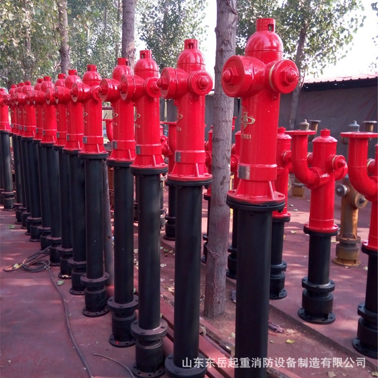 4419546659_222200722